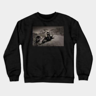 Rusting quietly Crewneck Sweatshirt